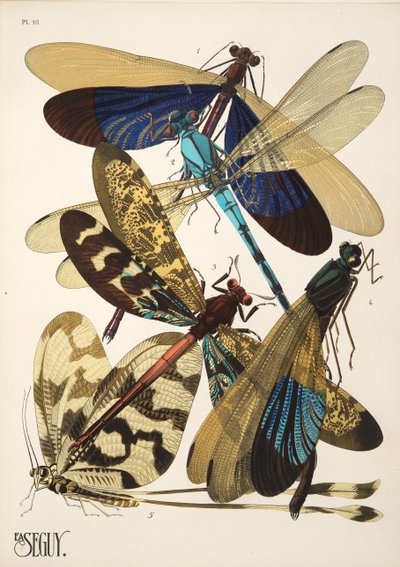 Plate 10 from Insectes, pub. 1930