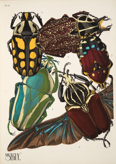 Plate 11 from Insectes, pub. 1930