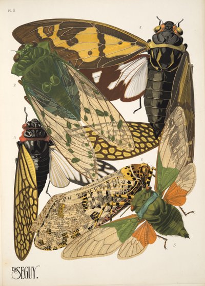 Plate 2 from Insectes, pub. 1930