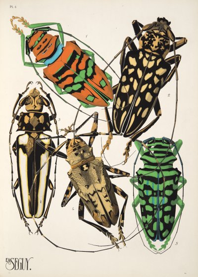 Plate 4 from Insectes, pub. 1930