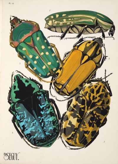 Plate 12 from Insects, pub. 1930