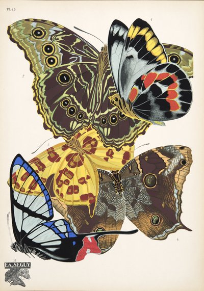 Plate 15, from Butterflies, pub. 1925 by Émile Allain Séguy