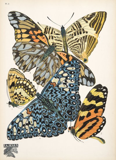 Plate 3, from Papillons, pub. 1925 by Émile Allain Séguy
