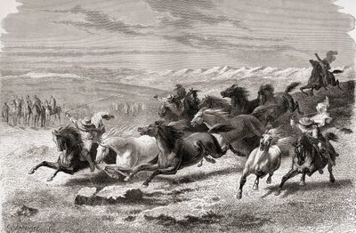 Argentinian gauchos rounding up wild horses, illustration from 