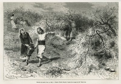 The collection of putty during the summer season (Drawing by Emile Bayard) by Emile Antoine Bayard