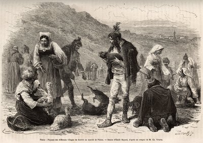 The peasants in the vicinity of Pisino (Croatia), gather for the sale of their farm products on the market: poultry, piglets..., engraving after a drawing by Emile Bayard illustrating the journey in Istria and Dalmatia, in 1874, by Charles Yriarte, publish by Emile Antoine Bayard