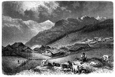 Village in the Alps. Murren, in the Bernese Oberland, altitude 1630 meters. Shepherd keeping his herd of goats and sheep. Illustration for Albert Dupaigne
