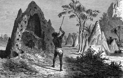 Village of warlike termites (termitiere), Africa by Emile Antoine Bayard
