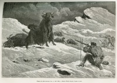 Wild yak hunting scene (Drawing by Emile Bayard) by Emile Antoine Bayard
