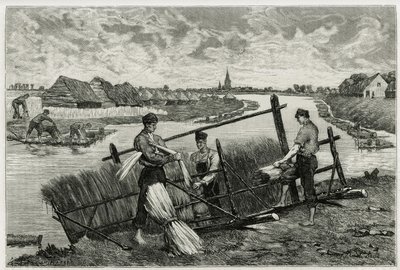 The rust of flax (engraving by Emile Claus, to illustrate the story La Belgique, by Camille Lemonnier) by Emile Claus