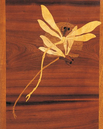 Dragonflies (detail) by Emile Galle