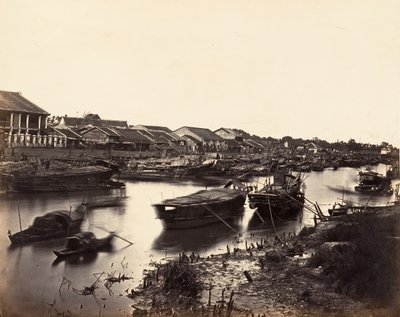 View of the Chinese City Cholon, Sheet No. 5, Saigon, Cochinchina, 1866 by Emile Gsell