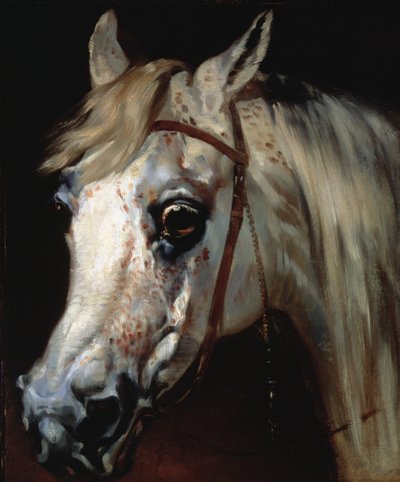 Head of an Arab horse, c.1840-50 by Emile Jean Horace Vernet