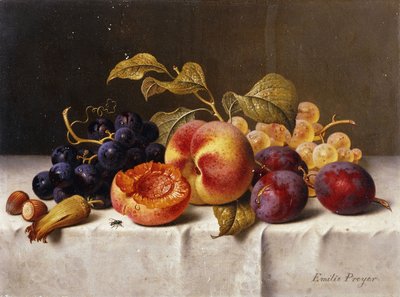 Grapes, Peaches, Plums and Nuts on a Draped Table by Emilie Preyer