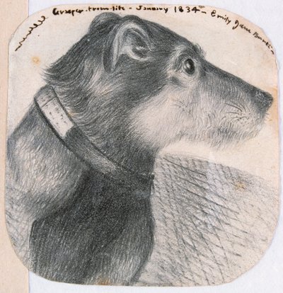 Grasper, from life by Emily Bronte