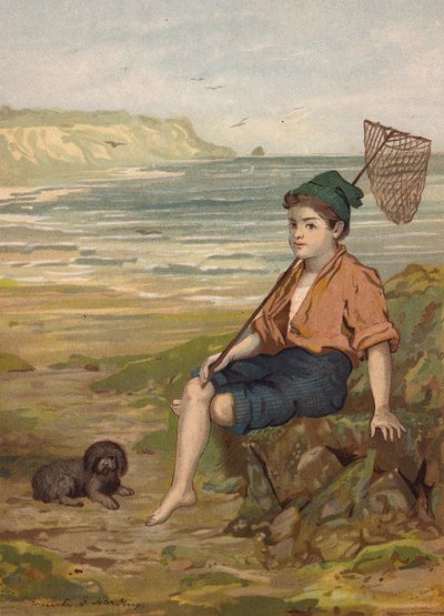 Boy with a fishing net at the seaside by Emily Jane Harding Andrews