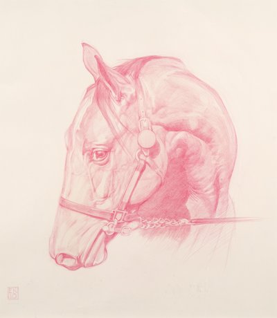Portrait Head, 2010 by Emma Kennaway