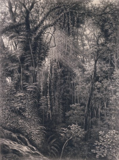 View of the Gorge above Apia, Upolu, Western Samoa by Emma Sandys