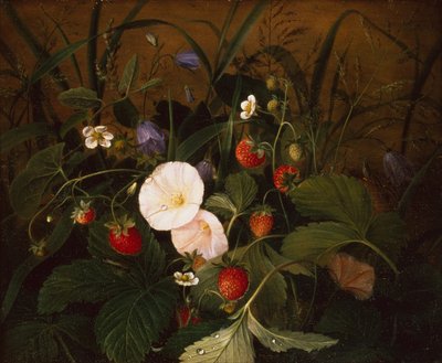 Wild Strawberries, Bluebells and a Hedge Bindweed on a Bank by Emma Thomsen