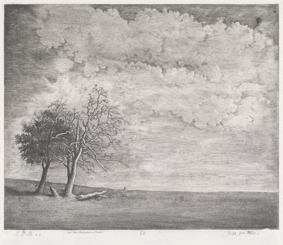 A Heath by Emmanuel Phélippes Beaulieu