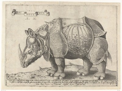 Rhinocerus by Enea Vico