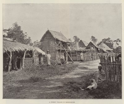 A Forest Village in Madagascar by English Photographer