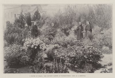 A Haven of Peace, the Convent Garden at Bloemfontein, used as a Hospital by English Photographer