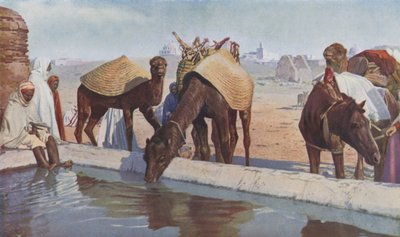 Arab Cameleers by English Photographer