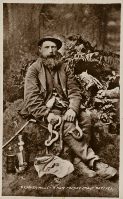 Brusher Mills, a New Forest Snake Catcher by English Photographer
