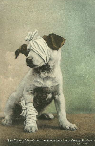 But things like this you know must be after a famous victory by English Photographer