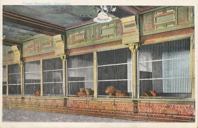 Caged lions in the Tower Menagerie, Blackpool, Lancashire by English Photographer