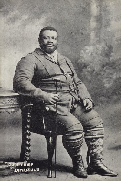 Cetshwayo kaMpande, King of the Zulu nation by English Photographer