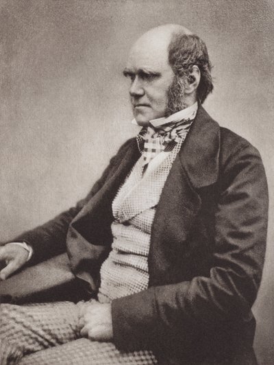 Charles Darwin, portrait, c 1854, from a photograph by Maull & Fox by English Photographer