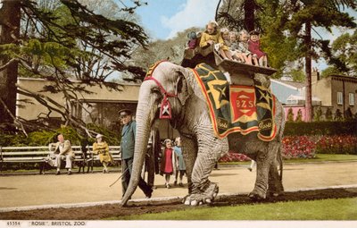 Children enjoying a ride on Rosie the elephant, Bristol Zoo by English Photographer
