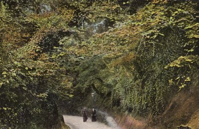 Chine Hollow, Shanklin by English Photographer