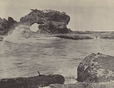 Coast Scene, Bridgewater by English Photographer