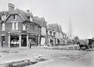 Corner of Chase Side and Chase Green Avenue, c.1890 (photo) by English Photographer