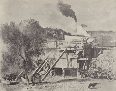 Crushing Stone, Kiama Quarries, New South Wales by English Photographer