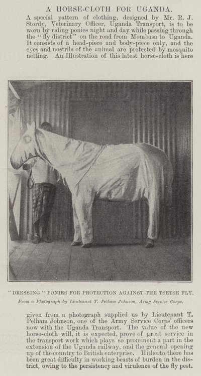 Dressing Ponies for Protection against the Tsetse Fly by English Photographer