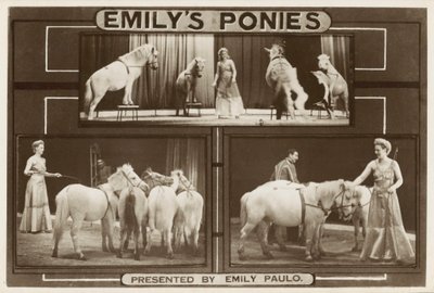 Emily Paulo and her performing trained ponies by English Photographer