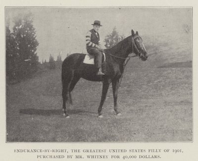 Endurance-by-Right, the Greatest United States Filly of 1901, purchased by Mr Whitney for 40,000 Dollars by English Photographer