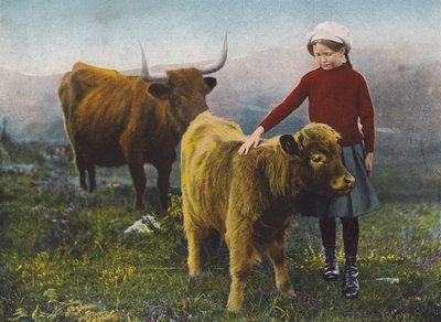 Girl petting a calf by English Photographer