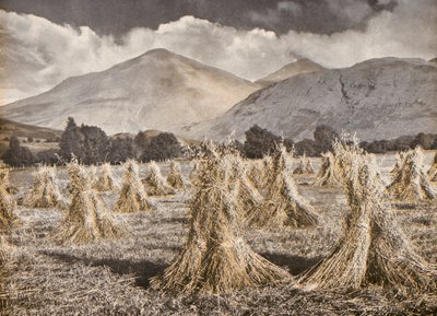 Harvest in Strathfillan below Ben More and Stobinian by English Photographer
