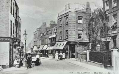 Hill Rise, Richmond: general view, 1895 by English Photographer
