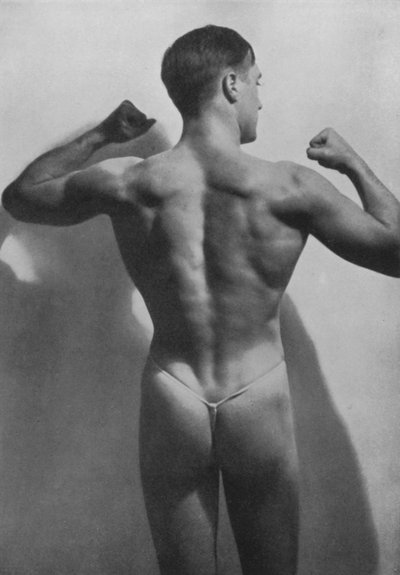 Illustration for The Male Body by English Photographer