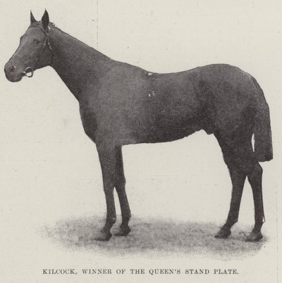 Kilcock, Winner of the Queen