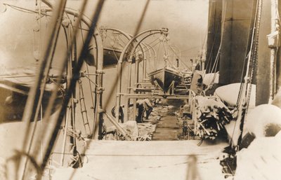 Life boats on a liner by English Photographer