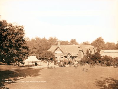 London Zoo, the Refreshment Rooms by English Photographer