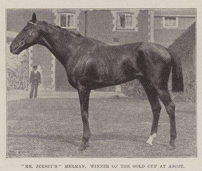 Mr Jerseys Merman, Winner of the Gold Cup at Ascot by English Photographer