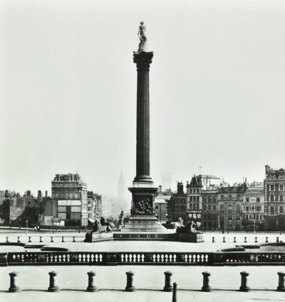 Nelson